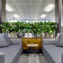 Mayfair Office Project  | Sofas and greenery  | Interior Designers